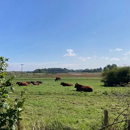 Bades Huk Haus 12 50 - Eg Hohen Wieschendorf